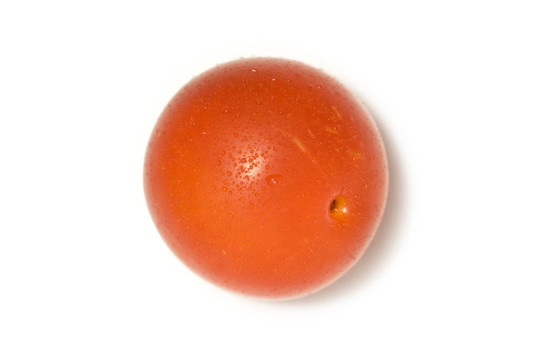 櫻桃李。