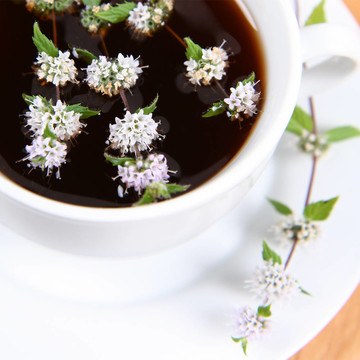 一杯茶
