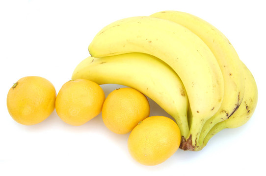 stilllife-19-0026