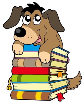 可爱的狗在一堆书