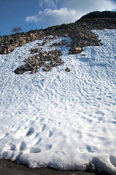 腳步石和雪
