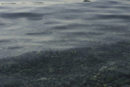 海