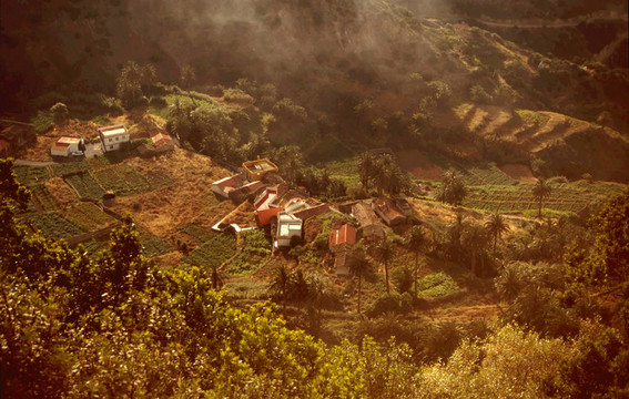農(nóng)業(yè)Terraces Gomera