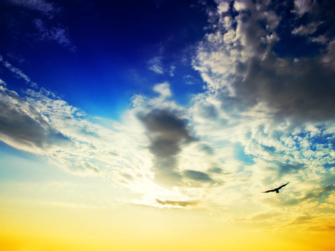 海鷗的天空