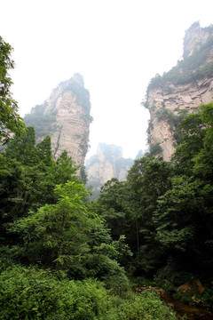 中國-張家界國家森林公園