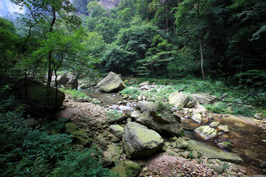 中國-張家界國家森林公園