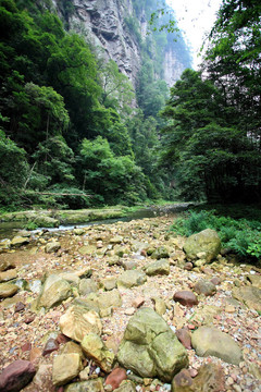 中國-張家界國家森林公園
