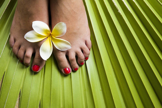 熱帶footspa