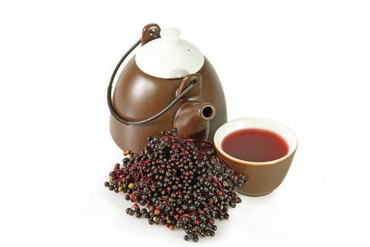 茶長老