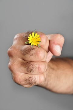 毛人手花的概念與對比