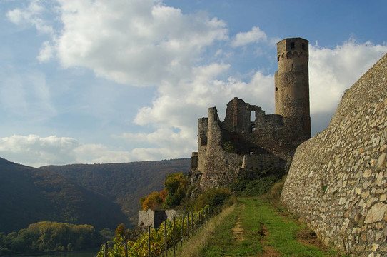 Ehrenfels 05