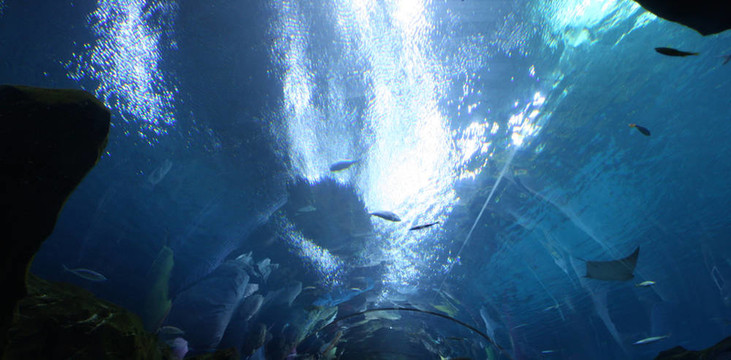 水族館