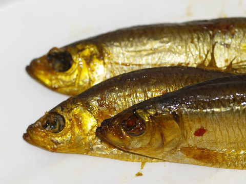 腌鯡魚