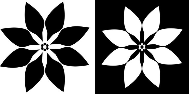 一品紅的圖標(biāo)