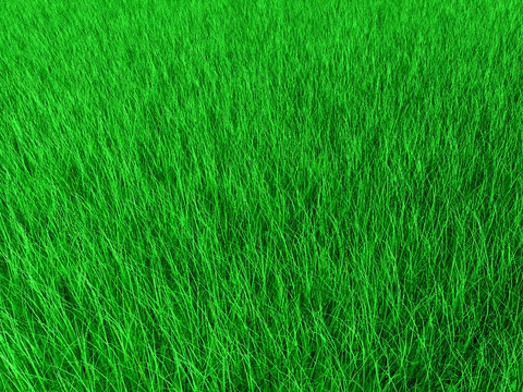 草