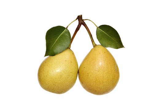 梨