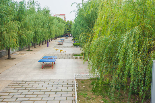 社區(qū)公園