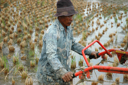 老農(nóng)夫