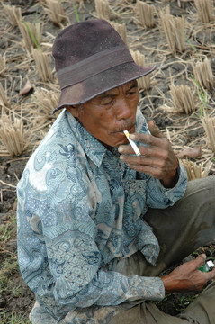 老農(nóng)夫