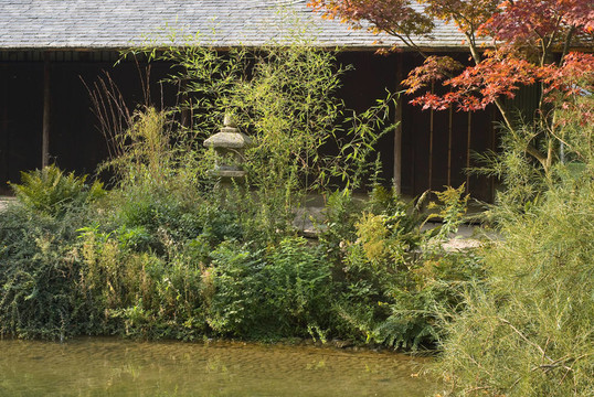 日本禮儀茶園