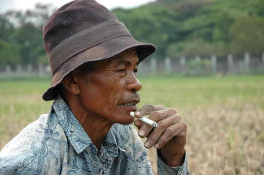 老農(nóng)夫