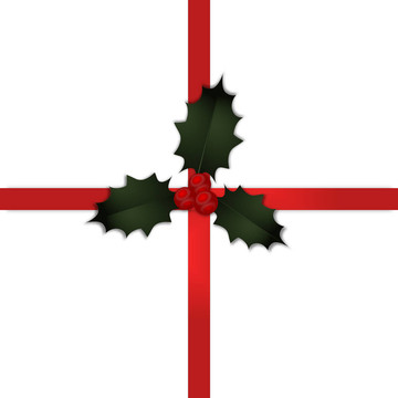 圣誕禮物絲帶與Holly