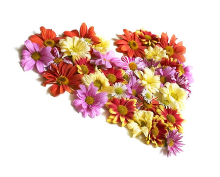心中的花