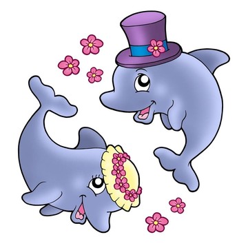 一對(duì)可愛的婚禮海豚