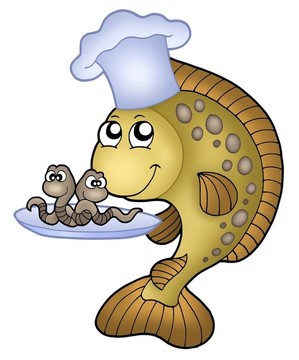 鯉魚(yú)蚯蚓廚師