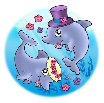 與海豚在海上的婚禮形象