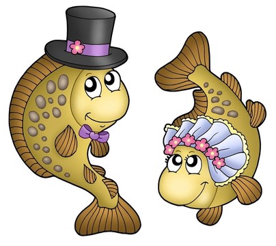 鯉魚與可愛的婚禮