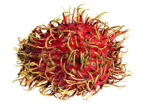紅毛丹的宏