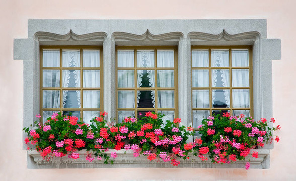 老歐洲的Windows