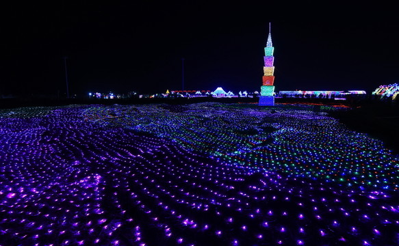 花的海洋