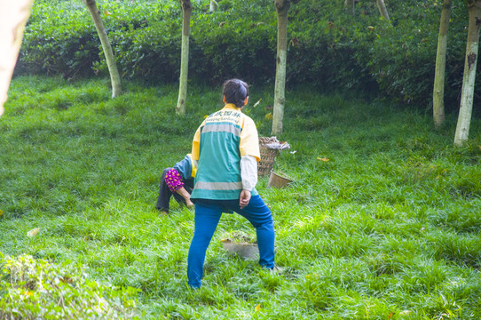 園藝除草
