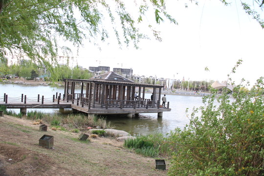 公園風(fēng)光