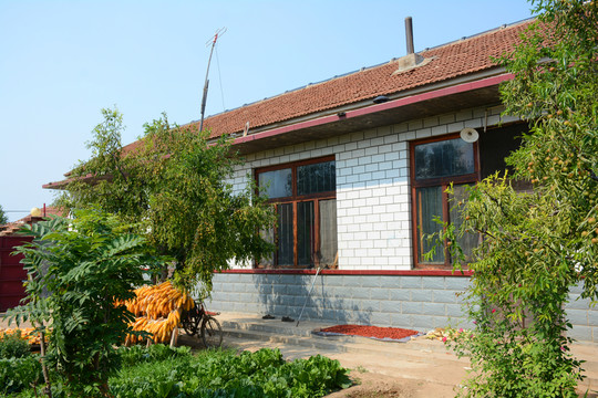 農家小院