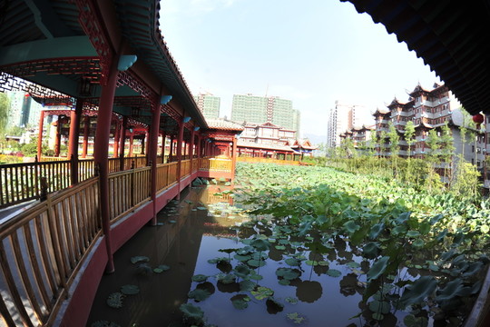 園林藝術
