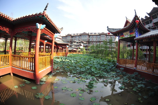 湖泊池塘園林