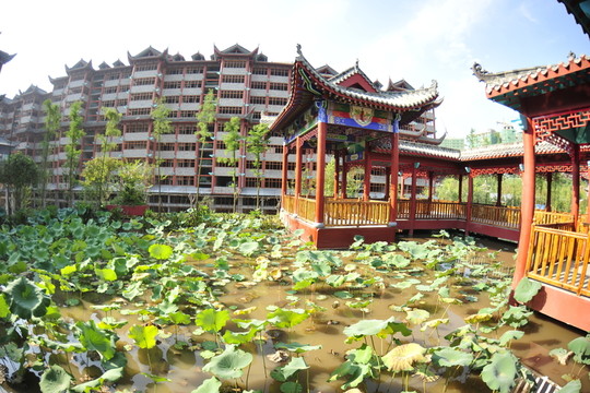湖泊池塘園林