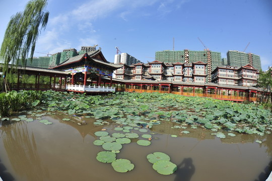景觀園林