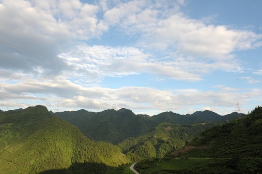 茶園藍(lán)天白云風(fēng)景