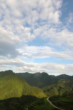 茶園藍(lán)天白云風(fēng)景