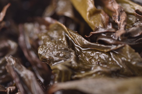 茶葉葉底特寫