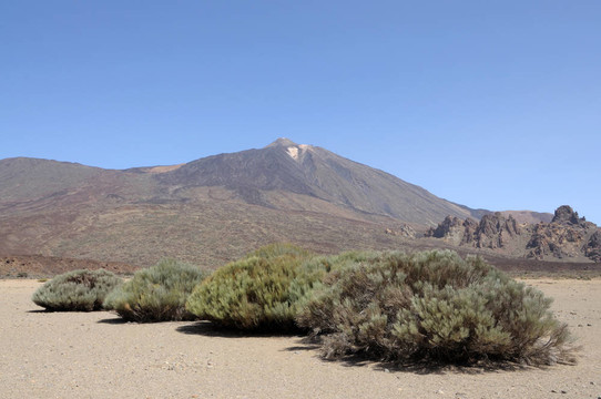 Pico de Teide火山；特內(nèi)里費(fèi)西班牙
