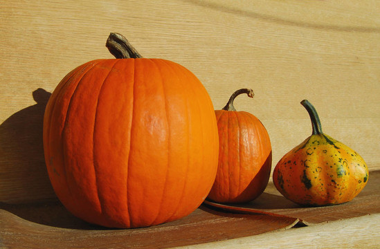 老長凳上的南瓜和Gourd