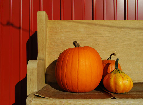 南瓜和Gourd在長凳上