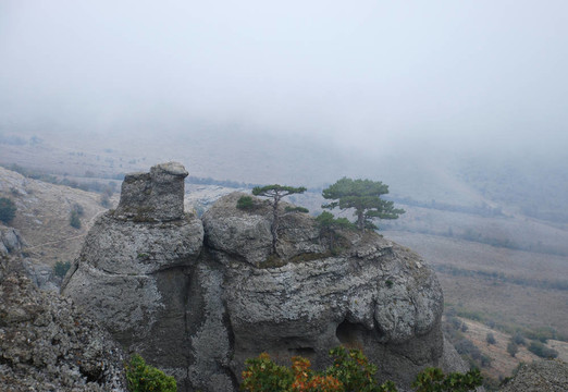 山地景觀