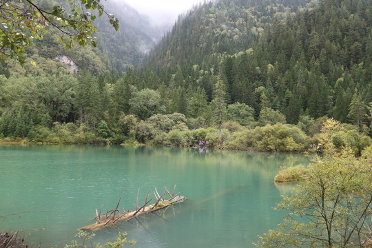 青山綠水