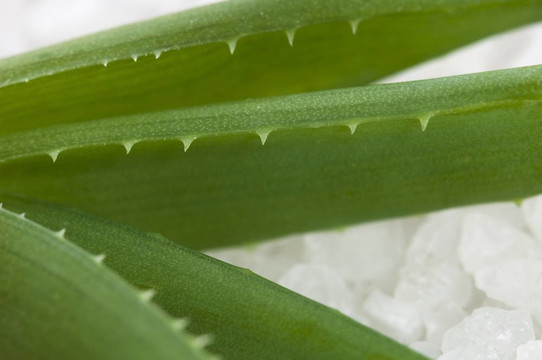 沐浴鹽與aloe vera